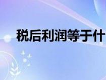 稅后利潤等于什么（如何計(jì)算稅后利潤）