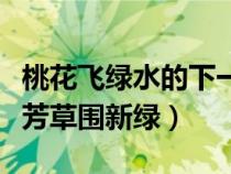 桃花飛綠水的下一句是什么（桃花飛綠水一庭芳草圍新綠）