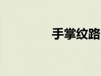 手掌紋路圖解（手掌紋路）