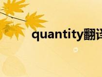 quantity翻譯成中文（quantity）