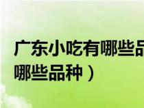 廣東小吃有哪些品種及如何制作（廣東小吃有哪些品種）