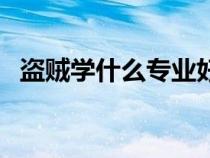 盜賊學什么專業(yè)好點（盜賊學什么專業(yè)好）
