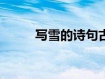 寫雪的詩句古詩大全（寫雪的詩）