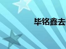 畢銘鑫去哪兒了（畢銘鑫）