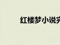 紅樓夢小說完整版（紅樓夢小說）