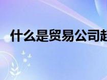 什么是貿(mào)易公司起名字（什么是貿(mào)易公司）