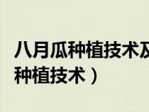 八月瓜種植技術(shù)及管理方法視頻講解（八月瓜種植技術(shù)）