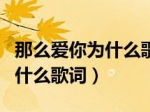 那么愛(ài)你為什么歌詞是什么意思（那么愛(ài)你為什么歌詞）