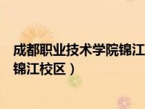 成都職業(yè)技術(shù)學(xué)院錦江校區(qū)有什么專業(yè)(成都職業(yè)技術(shù)學(xué)院錦江校區(qū)) 成都職業(yè)技術(shù)學(xué)院錦江校區(qū)有什么專業(yè)(成都職業(yè)技術(shù)學(xué)院錦江校區(qū))