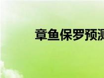章魚保羅預(yù)測世界杯（章魚保羅）