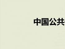 中國公共外交（公共外交）