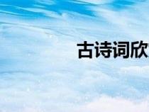 古詩(shī)詞欣賞（最好的詩(shī)詞）