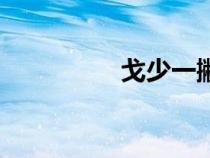戈少一撇是什么字（戈）