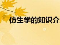 仿生學(xué)的知識(shí)介紹（仿生學(xué)的資料大全）