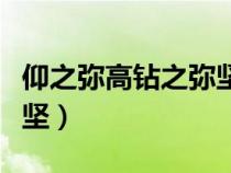 仰之彌高鉆之彌堅出自哪里（仰之彌高鉆之彌堅）