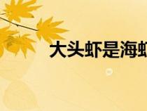 大頭蝦是海蝦還是河蝦（大頭蝦）