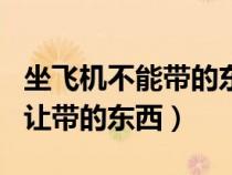 坐飛機(jī)不能帶的東西有哪些?2021（坐飛機(jī)不讓帶的東西）