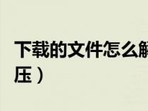 下載的文件怎么解壓打開（下載的文件怎么解壓）