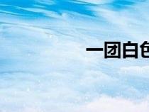 一團(tuán)白色分泌物（一團(tuán)）