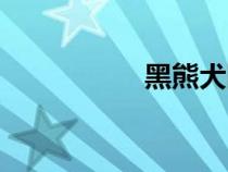 黑熊犬圖片（黑熊犬）