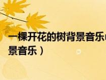 一棵開花的樹背景音樂mp3酷狗音樂下載（一棵開花的樹背景音樂）