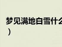 夢見滿地白雪什么預兆（夢到下雪是什么預兆）