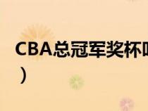CBA總冠軍獎杯叫什么名字（cba總冠軍獎杯）