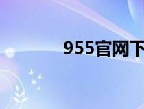 955官網(wǎng)下載（9553下載網(wǎng)）