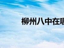 柳州八中在哪個位置（柳州八中）