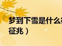 夢到下雪是什么征兆 女性（夢到下雪是什么征兆）