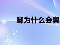 腳為什么會臭酸味（腳為什么會臭）