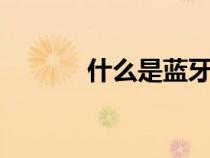 什么是藍(lán)牙key(什么是藍(lán)牙) 什么是藍(lán)牙key(什么是藍(lán)牙)
