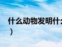 什么動(dòng)物發(fā)明什么?(根據(jù)什么動(dòng)物發(fā)明什么) 什么動(dòng)物發(fā)明什么?(根據(jù)什么動(dòng)物發(fā)明什么)