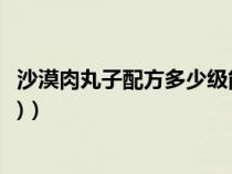 沙漠肉丸子配方多少級(jí)能接（怎么獲得任務(wù)物品(沙漠肉丸子)）