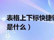 表格上下標快捷鍵（excle中上下標的快捷鍵是什么）