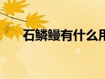 石鱗鰻有什么用處（石鱗鰻有什么用）