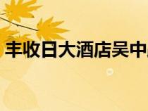 豐收日大酒店吳中路店（豐收日大酒店地址）