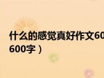 什么的感覺真好作文600字作文 初中（什么的感覺真好作文600字）