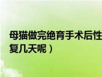 母貓做完絕育手術(shù)后性格有啥變化（母貓做了絕育一般要恢復(fù)幾天呢）