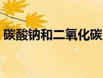 碳酸鈉和二氧化碳反應(yīng)（鈉和二氧化碳反應(yīng)）