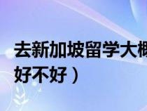 去新加坡留學(xué)大概需要多少錢（去新加坡留學(xué)好不好）