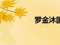 羅金沐國(guó)防大學(xué)（羅金）