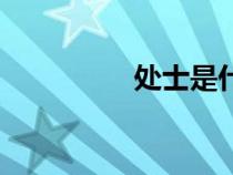 處士是什么意思（處士）
