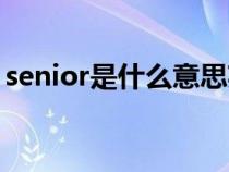 senior是什么意思英語（senior是什么意思）