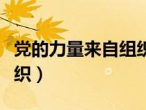 黨的力量來自組織心得體會（黨的力量來自組織）