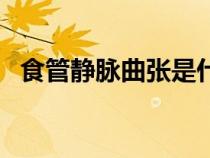 食管靜脈曲張是什么意思（食管靜脈曲張）