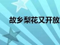 故鄉(xiāng)梨花又開放原唱（梨花又開放原唱）