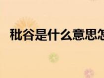 秕谷是什么意思怎么讀（秕谷是什么意思）