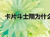 卡片斗士翔為什么看不了了（卡片斗士翔）