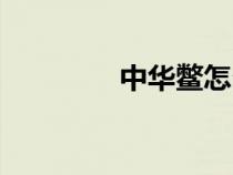 中華鱉怎么養(yǎng)（鱉怎么養(yǎng)）